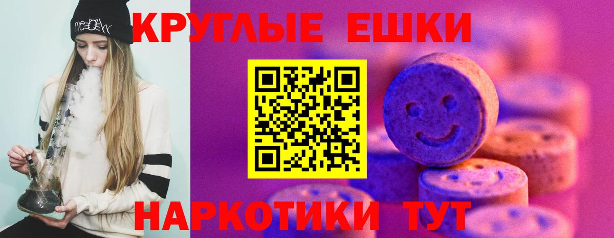 Экстази Philipp Plein  Вход с VPN  Экстази XTC  Топки 